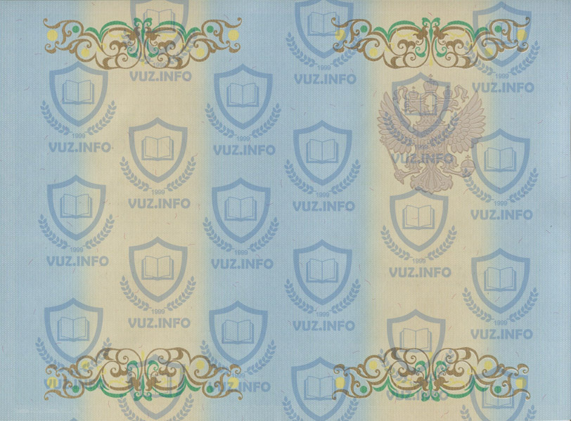 Оборотная сторона главной страницы диплома о высшем образовании 2011, 2012, 2013 года окончания